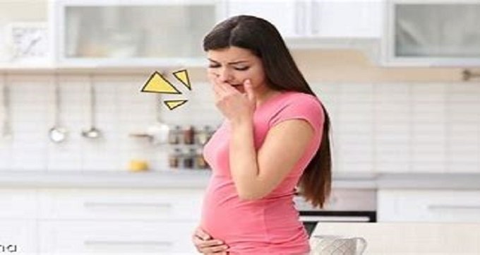 بارداری چیست؟